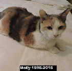 Molly Babura ..1996-2015